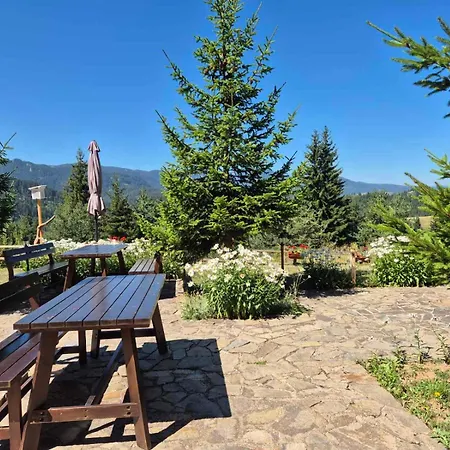 Apartment Panorama Stoykite Yana *