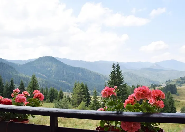 Panorama Stoykite Yana Apartment *